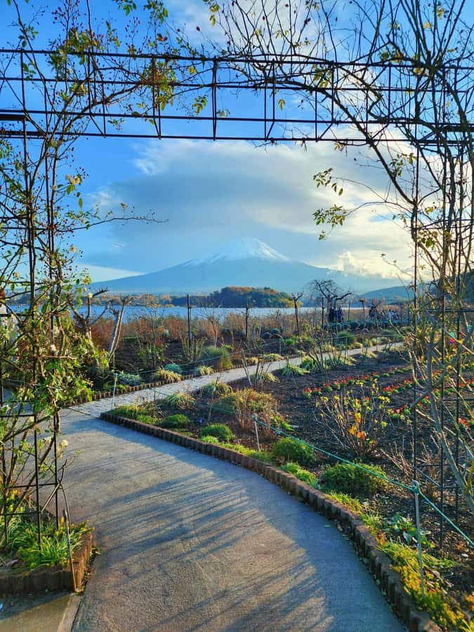 From Tokyo: Mount Fuji Full-Day Private Tour (Customizable) - Weather is the tour’s biggest gamble