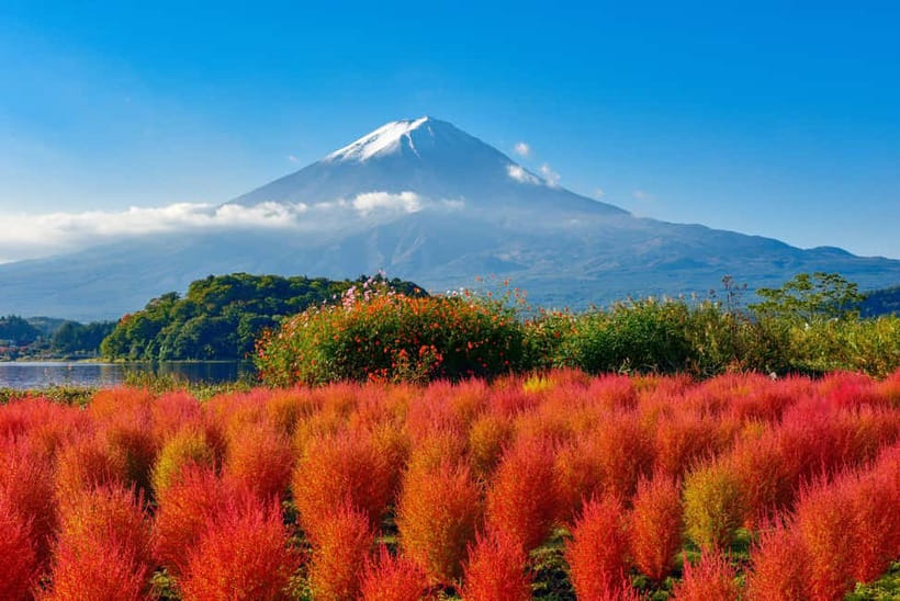 From Tokyo: Mount Fuji Full-Day Sightseeing Trip - What the day is really like from Tokyo