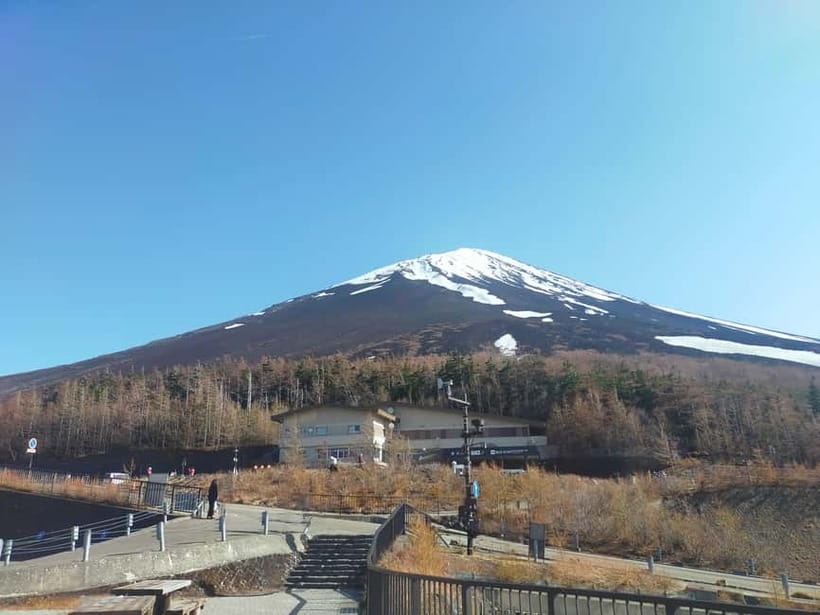 From Tokyo: Mount Fuji Full-Day Sightseeing Trip - Weather, traffic, and the Fuji gamble