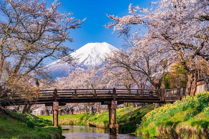From Tokyo: Mount Fuji Sightseeing One Day Trip - Five things to know before booking