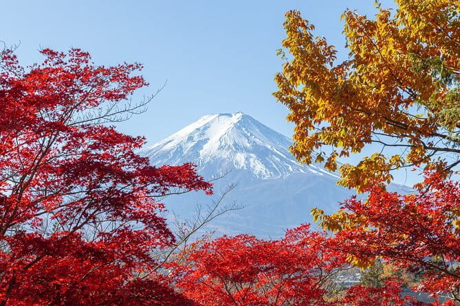 From Tokyo: Mount Fuji Sightseeing One Day Trip - Why this Mount Fuji day trip works