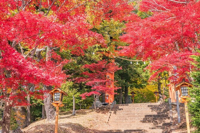 From Tokyo: Mount Fuji Sightseeing One Day Trip - Arakura Fuji Sengen Shrine adds a quieter note