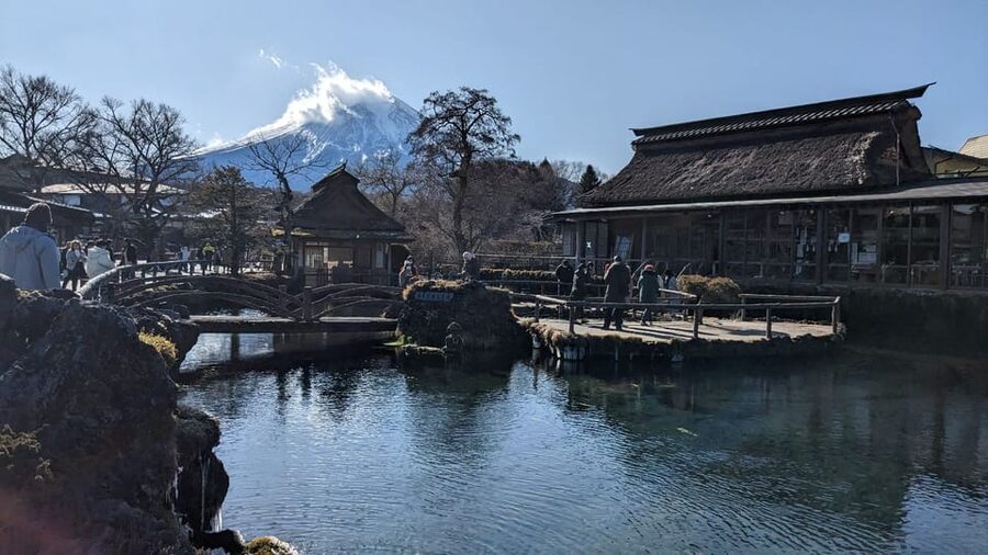 From Tokyo: Mt. Fuji & Hakone Tour w/ Return by Bullet Train - Returning to Tokyo by Shinkansen from Odawara