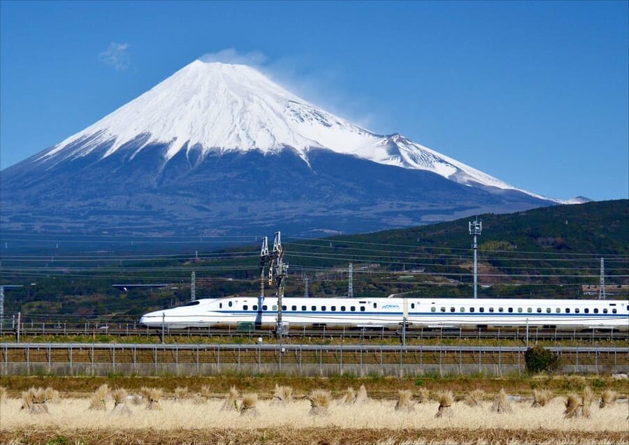 From Tokyo: Mt. Fuji & Hakone Tour w/ Return by Bullet Train - Is $117 good value?