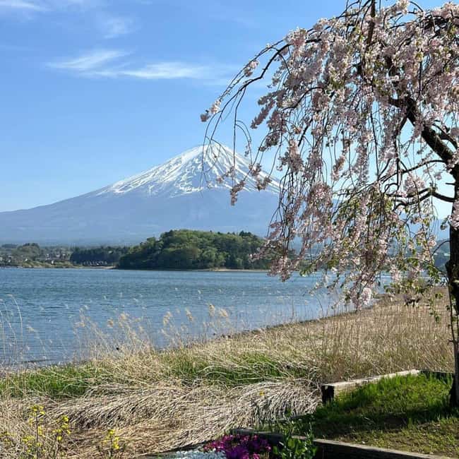 From Tokyo: Mt Fuji Private Day Tour In Luxury Land Cruiser - Why a private Fuji day makes sense
