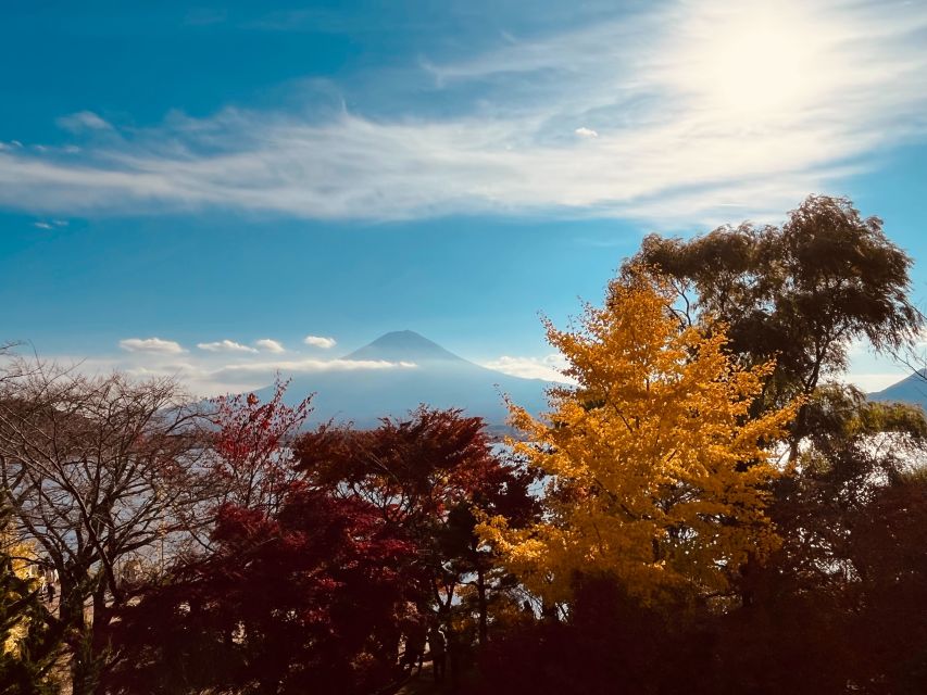 From Tokyo: Mt.Fuji, Tea Ceremony & Outlet Shopping Day Tour - Key details before you book