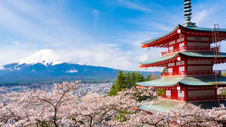 From Tokyo: Mt.Fuji, Tea Ceremony & Outlet Shopping Day Tour - Guides, languages, and how the day feels