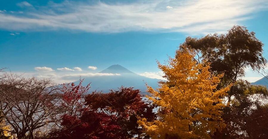 From Tokyo: Mt.Fuji, Tea Ceremony & Outlet Shopping Day Tour - Lake Kawaguchi and the Shikido matcha session