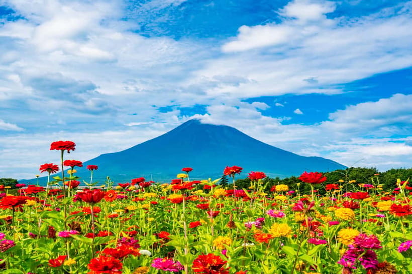 From Tokyo: Must-Visit Mount Fuji Highlight Full-Day Tour - Lake Yamanaka and Hirano Beach