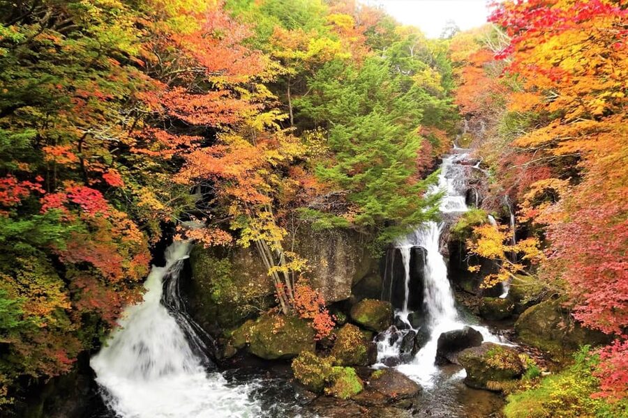From Tokyo: Nikko World Heritage Site Private Full-Day Trip - Six useful things to know before booking