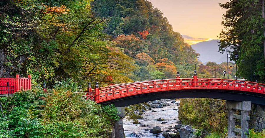 From Tokyo: Nikko World Heritage Site Private Full-Day Trip - Lunch, Edo Wonderland, and Kanmangafuchi Abyss