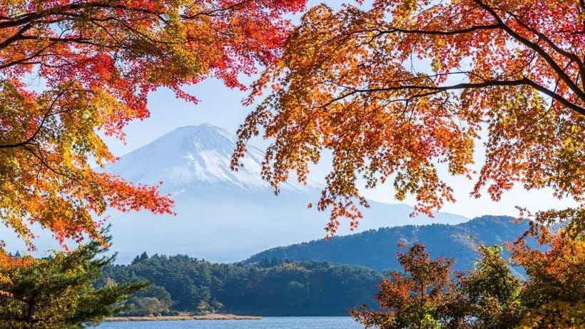 From Tokyo: Private Mt. Fuji and Hakone Tour by Car - Why a private car works well for Fuji and Hakone