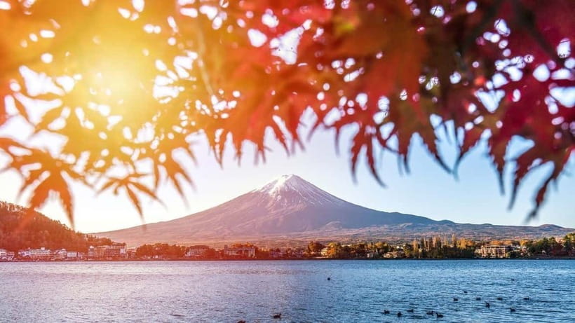 From Tokyo: Private Mt. Fuji and Hakone Tour by Car - Mt. Fuji’s 5th Station: the highest stop on the route