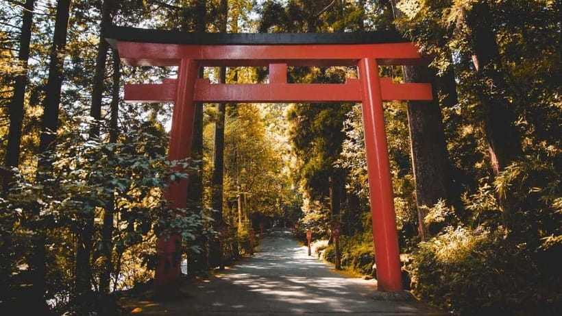 From Tokyo: Private Mt. Fuji and Hakone Tour by Car - Owakudani and the smell of volcanic Japan