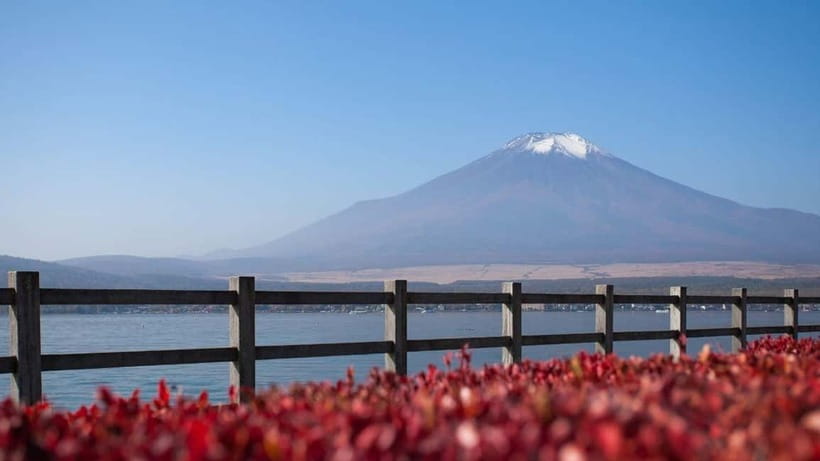 From Tokyo: Private Mt. Fuji and Hakone Tour by Car - What the driver adds, and what the driver may not provide