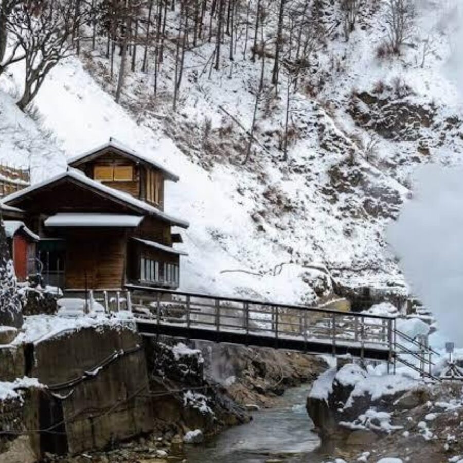 From Tokyo: Private Tour Snow Monkey Park & Zenko-ji Temple - What the $445 price really buys
