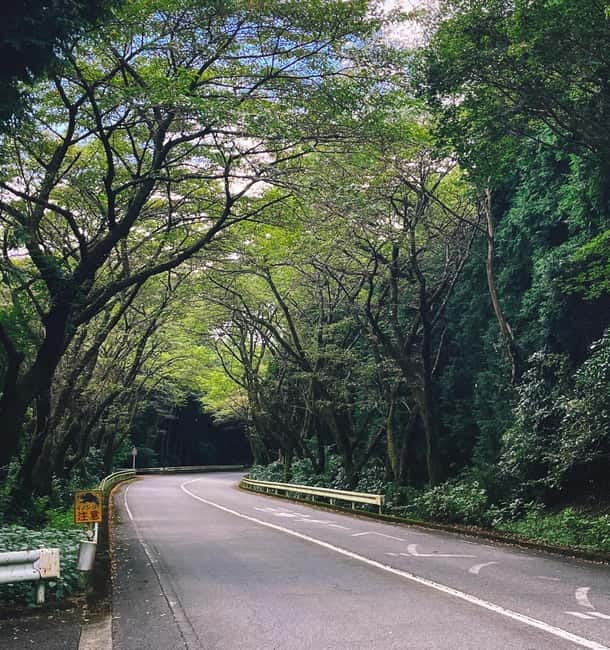 From Tokyo: Private Tour to Fuji/Hakone - Onsen, Art, Nature - Fuji viewpoints and the luck of the clouds