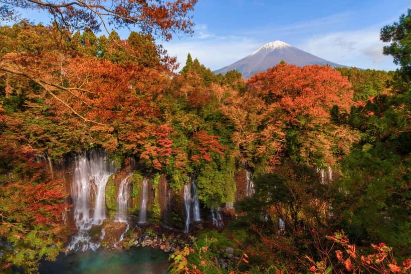 From Tokyo: Private Tour to Fuji/Hakone - Onsen, Art, Nature - Tenzan Onsen: the best reason to slow down
