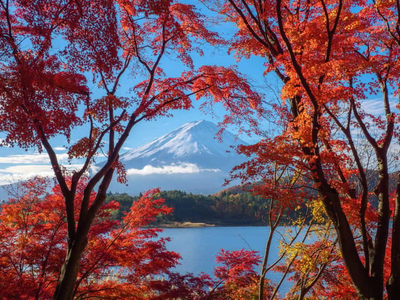 From Tokyo: Private Tour to Fuji/Hakone - Onsen, Art, Nature - Shakushi Pass and the mountain roads