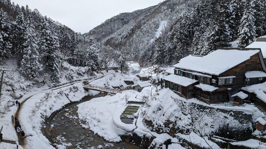 From Tokyo: Snow Monkey 1 Day Tour with Beef Sukiyaki Lunch - Sukiyaki at Shinshu Fruitsland