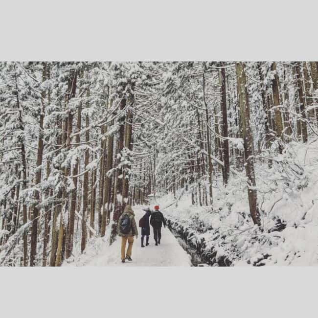 From Tokyo: Snow Monkey Park and Miso Production Day Tour - A long but practical route from Tokyo to Nagano