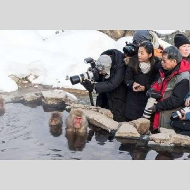 From Tokyo: Snow Monkey Park and Miso Production Day Tour - Obuse, miso, fruit, and a slower town visit