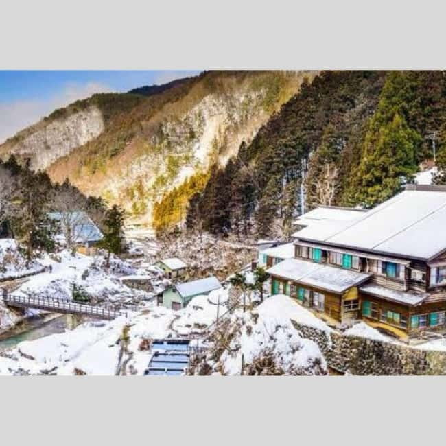 From Tokyo: Snow Monkey Park and Miso Production Day Tour - Timing, winter roads, and the cost of comfort