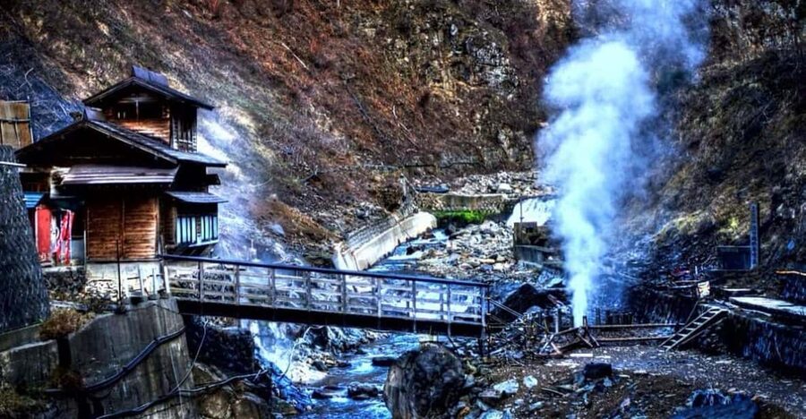 From Tokyo: Snow Monkey Private Customize Day Tour - The real value of a $490 private day