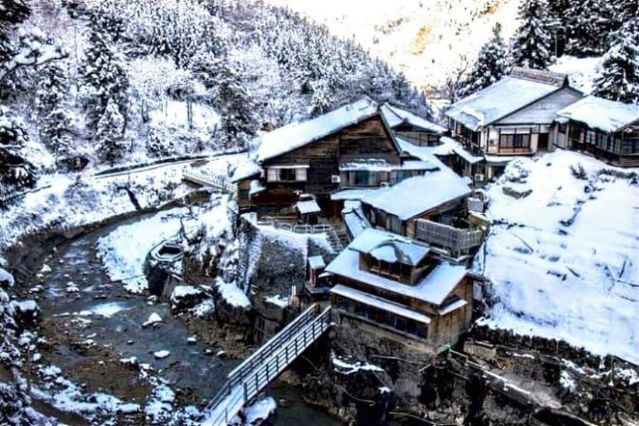 From Tokyo: Snow Monkey Private Customize Day Tour - Shibu Onsen and Obuse: optional stops with different appeal