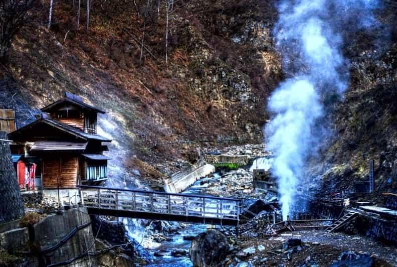 From Tokyo: Snow Monkey Private Customize Day Tour - A long but comfortable ride from Tokyo