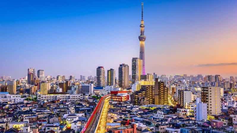 From Tokyo: Tokyo Private Customize Tour With English Driver - Key points at a glance