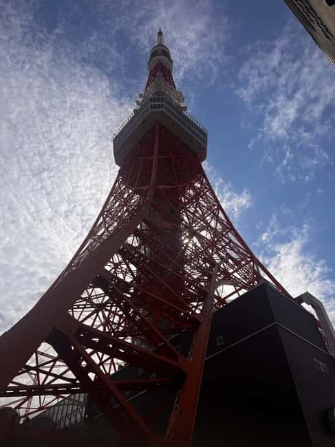 From Tokyo: Tokyo Private Customize Tour With English Driver - Shibuya Crossing: Tokyo in one dramatic scene