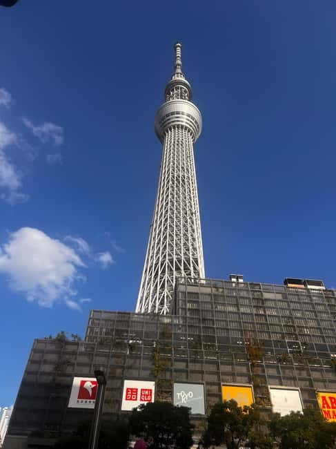 From Tokyo: Tokyo Private Customize Tour With English Driver - What the driver adds to the day