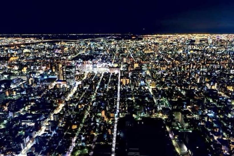 From Tokyo: Tokyo Private Customize Tour With English Driver - Price, group size, and what you really pay for