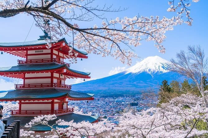 From Tokyo: Top 5 Scenic Spots of Mount Fuji Full-Day Tour - Key points to know before booking