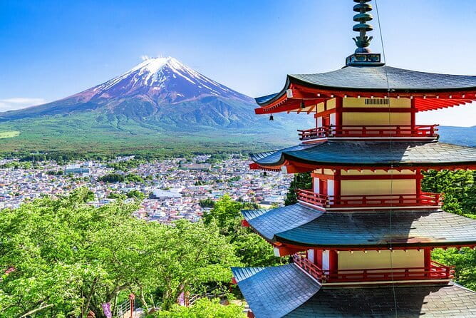 From Tokyo: Top 5 Scenic Spots of Mount Fuji Full-Day Tour - Meeting in Tokyo: arrive early and watch for the yellow flag