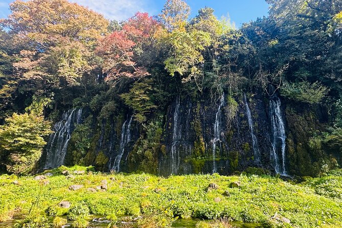 Fuji Highlights Group Car Tour by Shimizu Port with Local Guide - Fujisan Hongu Sengen Taisha connects Fuji to faith