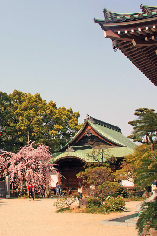 Fukuoka Essentials: History, Culture, & Charms - Tochoji adds scale and a giant Buddha