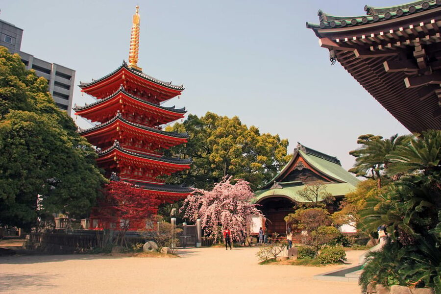 Fukuoka Essentials: History, Culture, & Charms - Pace, language, and the private-group advantage