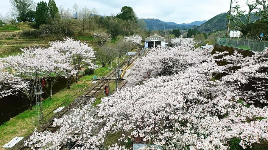 Fukuoka: Takachiho Gorge & Scenic Railway One Day Tour - FAQ