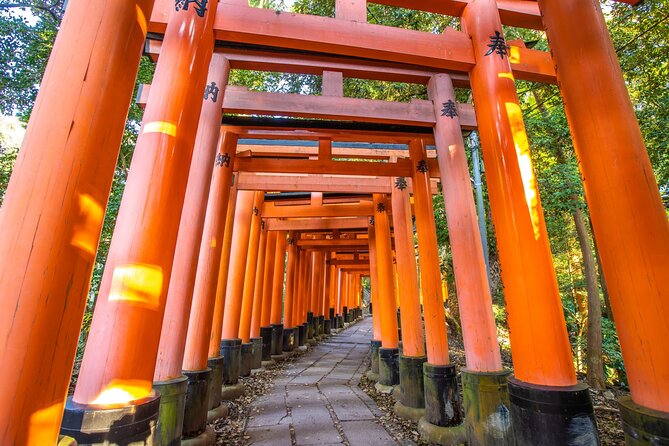 Full Day Guided Tour to Kyoto and Nara from Osaka by Van - Key points to know before booking