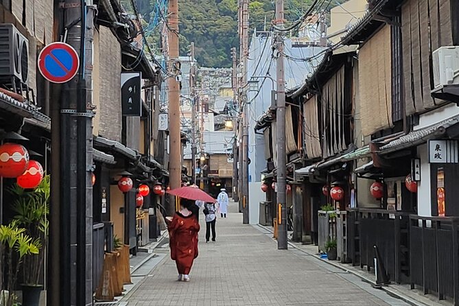 Full Day Guided Tour to Kyoto and Nara from Osaka by Van - Nara Park and the famous bowing deer