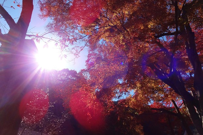Full Day Hiking Tour at Mt.Takao including Hot Spring - Choosing the right trail for your legs