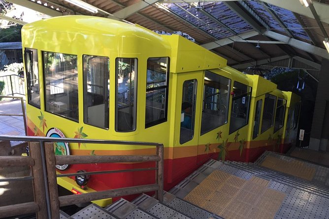 Full Day Hiking Tour at Mt.Takao including Hot Spring - Coming down by foot, cable car, or chairlift