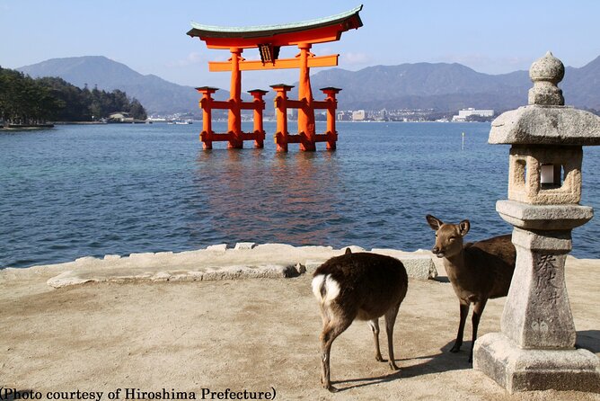 Full Day Hiroshima and Miyajima Tour by Bullet Train from Osaka - The Atomic Bomb Dome and a difficult history
