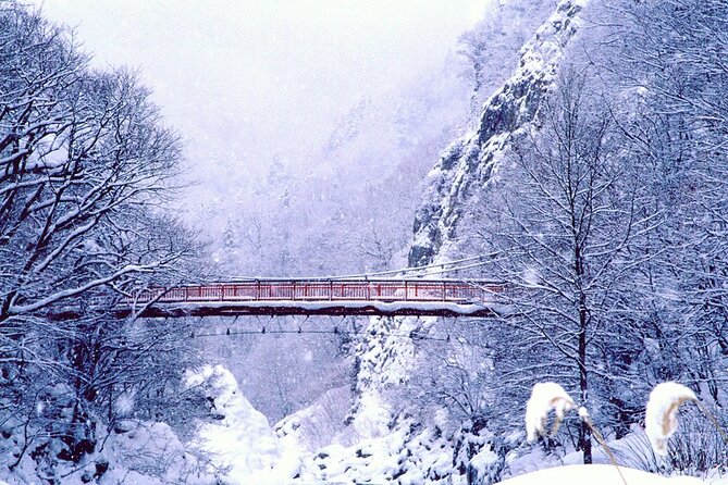 Full Day Private Skiing / Snowboarding Tour in Sapporo - Picking between Sapporo Kokusai and Bankei