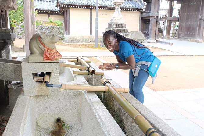 Full-Day Sightseeing to Kyoto Highlights - Kinkakuji: the Golden Pavilion in a tight schedule