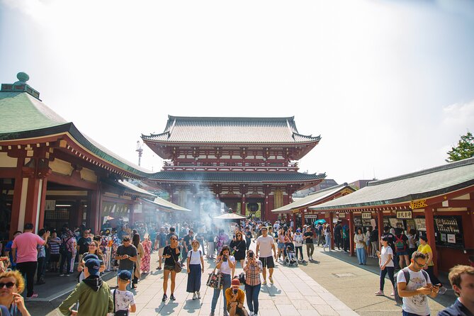 Full Day Tokyo Private Tour by Luxury Vehicle - Why a private car can make sense in Tokyo