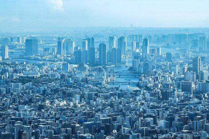 Full Day Tokyo Private Tour by Luxury Vehicle - Takeshita Street and Harajuku: fashion, snacks, and people-watching