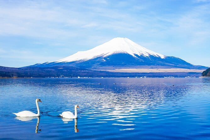 Full Day Tour at Mt. Fuji, Onsen, Lake Kawaguchi and Yamanaka - Key Points Before You Book